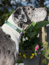 Load image into Gallery viewer, &#39;Wildflower&#39; Martingale Collar - SALE Brass Plated
