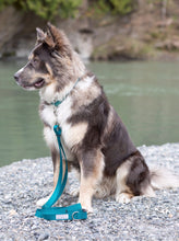 Load image into Gallery viewer, dark teal, dog leash, adjustable, dog gear, silver, small business, handmade, women owned, husky malamute
