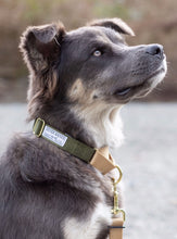 Load image into Gallery viewer, woodland, olive green, army green, tan, handmade, dog collar, dog leash, martingale collar, rescue dog, small business, women owned, husky mix
