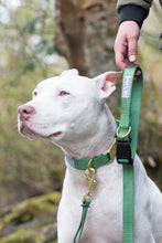 Load image into Gallery viewer, Sage Green Adjustable Leash
