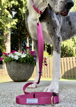 Load image into Gallery viewer, rose pink adjustable dog leash dog gear handmade accessories small business women owned great dane rescue
