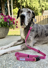 Load image into Gallery viewer, rose pink adjustable dog leash dog gear handmade accessories small business women owned great dane rescue
