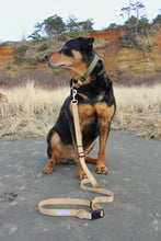 Load image into Gallery viewer, Tan green martingale collar dog leash Rottweiler rescue dog small business beach Washington coast

