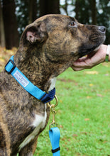 Load image into Gallery viewer, Blue &amp; Navy Martingale Collar
