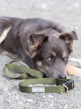 Load image into Gallery viewer, army green, dog leash, adjustable, rescue dogs, husky mix, handmade, women owned
