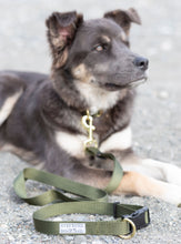 Load image into Gallery viewer, Army Green Adjustable Leash
