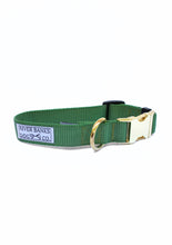 Load image into Gallery viewer, Sage Green Collar - SALE Brass Plated
