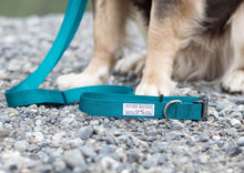 Load image into Gallery viewer, dark teal, dog leash, adjustable, dog gear, silver, small business, handmade, women owned, husky malamute
