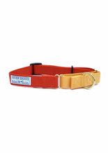 Load image into Gallery viewer, dog collar, dog gear, dog leash, martingale collar, rescue dog, husky mix, handmade product, small business, women owned, orange, yellow, sunset

