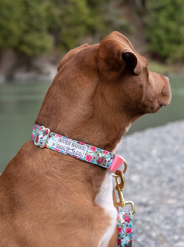 floral flowers martingale collar dog gear accessories small business women owned pink gold