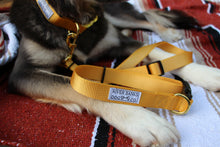 Load image into Gallery viewer, Yellow Adjustable Dog Leash
