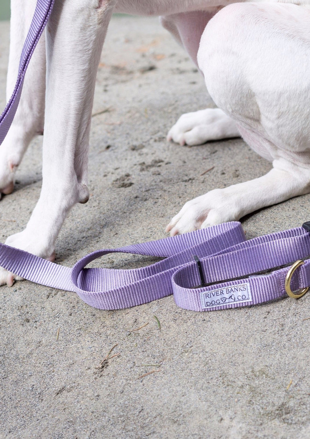 lavender, purple, dog leash adjustable, small business, women owned, dog gear, accessories, handmade