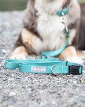 Load image into Gallery viewer, light teal adjustable dog leash small business women owned handmade husky malamute
