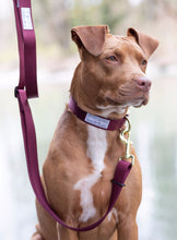 Load image into Gallery viewer, Burgundy dog collar, dog accessories, gold, pitbull, dog gear, small business, women owned, pitbull
