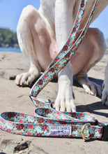 Load image into Gallery viewer, floral flowers rainbow leash collar handmade dog small business women owned ocean pnw pitbull rescue
