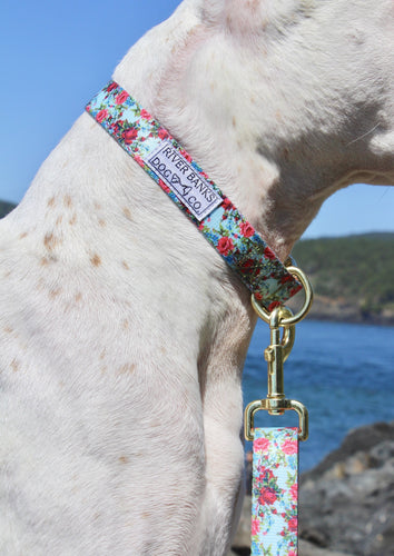 floral flowers rainbow collar handmade dog small business women owned ocean pnw pitbull rescue